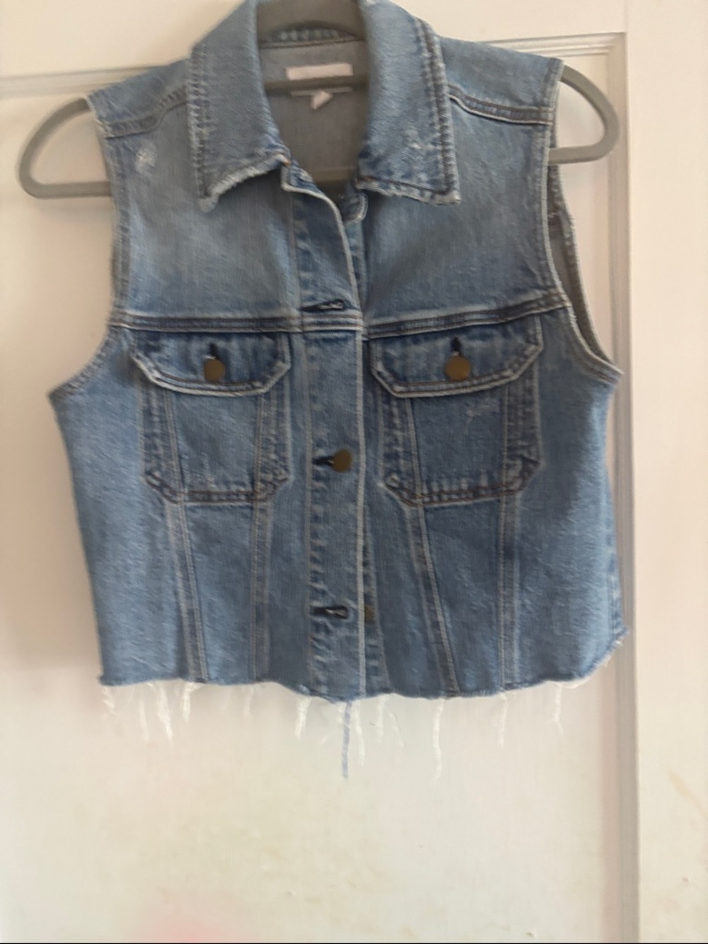 Evereve Light Wash Denim Button-Front Vest